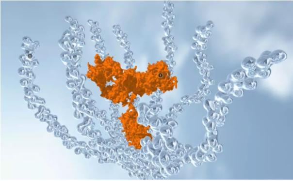 Kodiak拟IPO一亿美元，助眼病新疗法2期开发