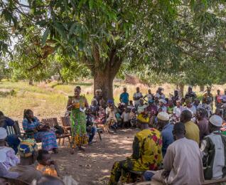 基因技术对抗传染病！非洲将首次在野外放生转基因蚊子以对抗疟疾