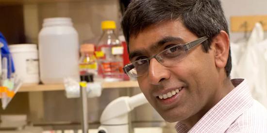 SALK研究所发现限制进食时间可预防代谢疾病