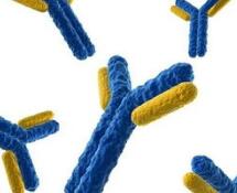 国产PD-1/PD-L1临床开发盘点