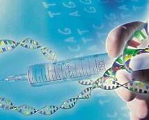 FDA取消两家基因疗法公司临床试验禁令