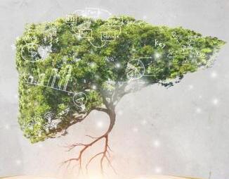 NASH市场规模预计能达到350亿美元？