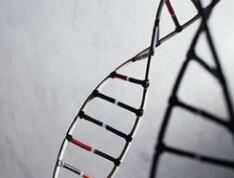 Science：如何将健康细胞癌化？只需五个基因