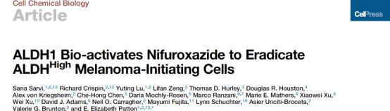 Cell子刊：抗生素竟可治疗黑色素瘤