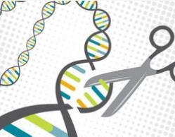  FDA批准首个CRISPR临床试验，治疗镰状细胞贫血症