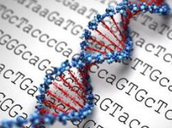 Nature：对年轻癌症患者进行全基因组测序至关重要