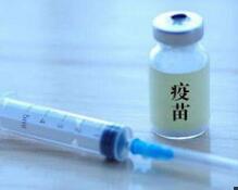 疫苗管理法将出台，生产假、劣药或罚款超千亿