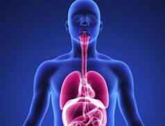 新发现：一半以上健康人群食道中存在突变细胞