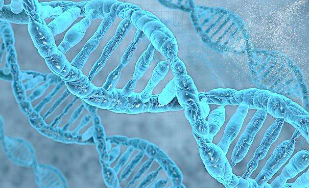 DNA分子计算为可编程药丸铺路