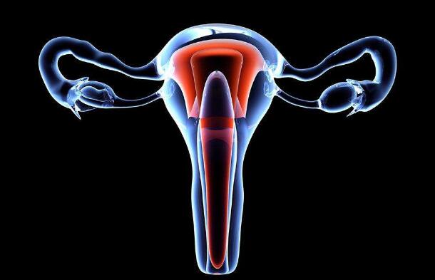 新技术可用血液高效筛查早期卵巢癌