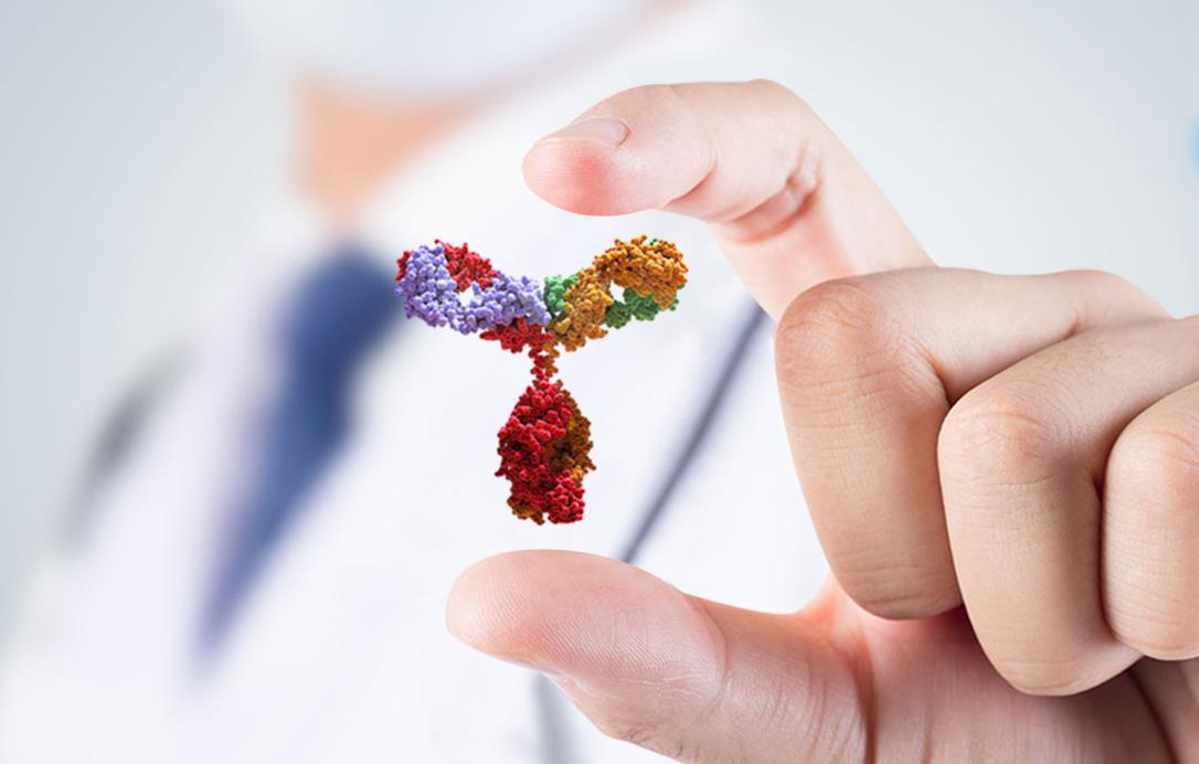 康宁杰瑞联合思路迪开发的皮下注射PD-L1抗体KN035临床后期开发已启动