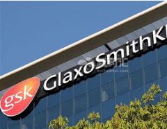 GSK失败的“自我革命”：这五年发生了什么？