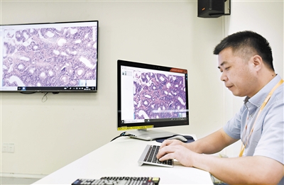 人工智能加速融入医学检测，精准检测揪出“捣蛋”细胞