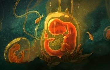 德研究人员找到可模拟合成生命起源关键分子新“配方”