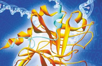 组蛋白威力大过DNA，控制生命进程“球局”