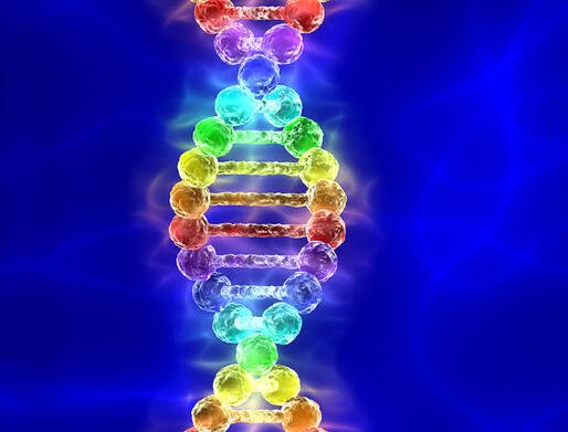 迄今最大规模性取向研究，新发现4种与同性行为相关的基因变异