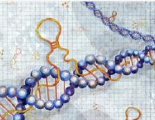 RNA疗法的现状与未来