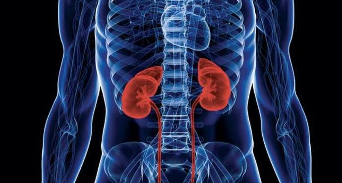 一文读懂急性肾盂肾炎的诊断与治疗