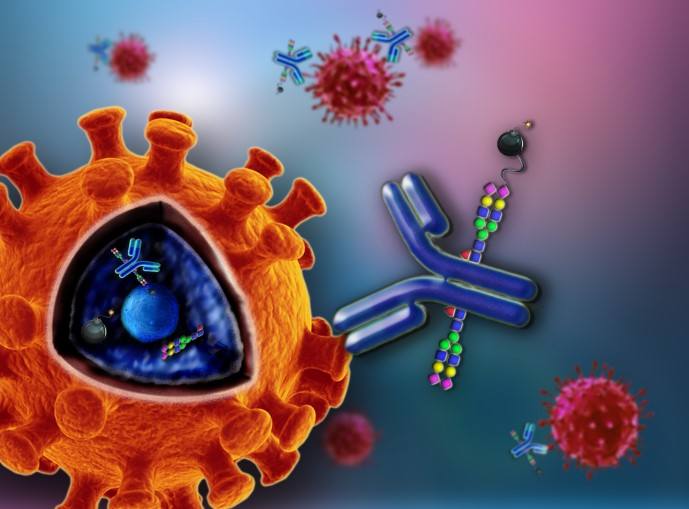 全球抗肿瘤抗体药物概况