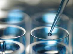 生命赌局：药物研发的冒险历程