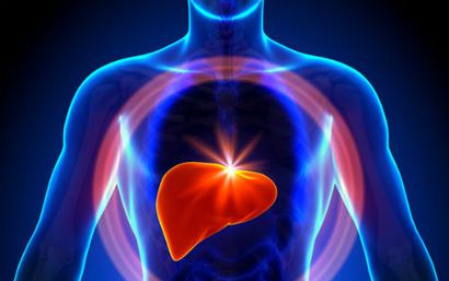 中国主导、17国参与、瞄准人类肝脏，14年，这项大科学计划干了哪些事儿