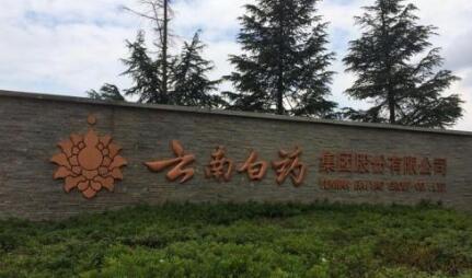 云南白药508亿吸收合并白药控股，实现集团整体上市