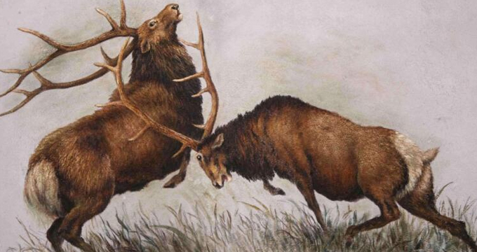 院长、书记长期不和，自成两派