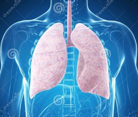 170亿肺癌市场：恒瑞、信达、百济对战默克、罗氏、BMS，竞争格局如何？