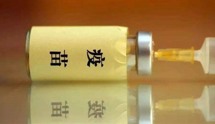 又一起疫苗贪腐案曝光： 疾控中心主任受贿，10家医药公司卷入