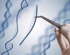 基因治疗——即将到来的医学革命