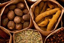 三问中药材质量：如何杜绝假冒伪劣、以次充好