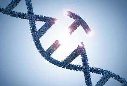 深圳市医学伦理专家委员会已启动针对“基因编辑抗艾滋婴儿”的调查