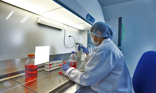 中国免疫细胞治疗实现技术管理到药品管理转折 千亿市场空间开启