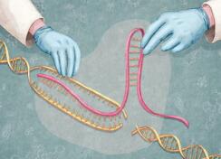 基因编辑知情同意曝光后：为什么我们要反复探讨伦理？