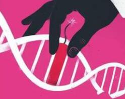 透过“基因编辑婴儿”事件 看当下医学伦理暴露的问题