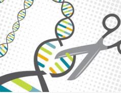 3家明星CRISPR上市公司最新临床试验进展