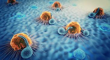 成立1年构建12条肿瘤免疫疗法研发管线，科望医药获总计5500万美元投资