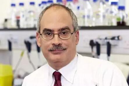 意想不到抗衰老药物：这种常见分子竟能杀死衰老细胞