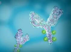 默沙东、BMS、君实即将上演PD-1三国杀！国产价格如何定？恒瑞等70家争霸会打价格战吗？