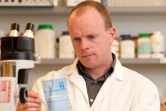 只要敲除这个基因，小鼠怎么吃都吃不胖