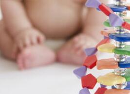 基因编辑婴儿事件后临床招募该何处去