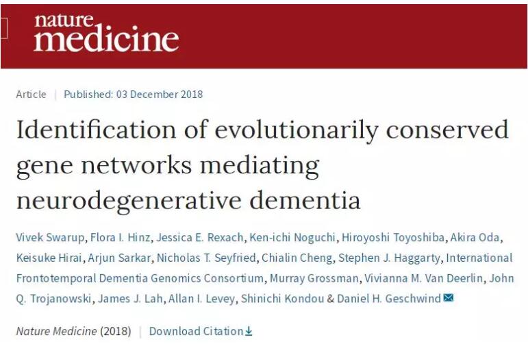  治疗阿兹海默病新方向，研究发现失智症相关基因网络