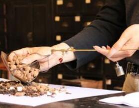 香港地区中药注册管理体系概述