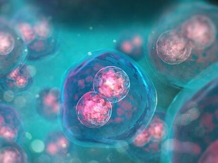 堪称“黑匣子”的突破技术，有望揭秘癌细胞从何而来