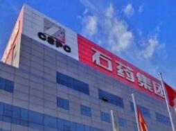 分拆上市A股再添案例，石药子公司IPO发审获准