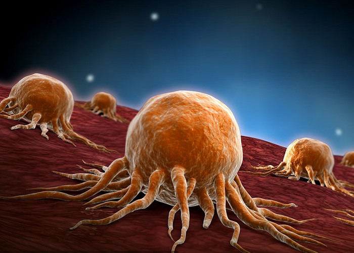 科学家鉴别出影响癌细胞间沟通交流的关键基因