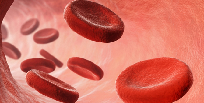 一文读懂缺铁性贫血的诊断与治疗