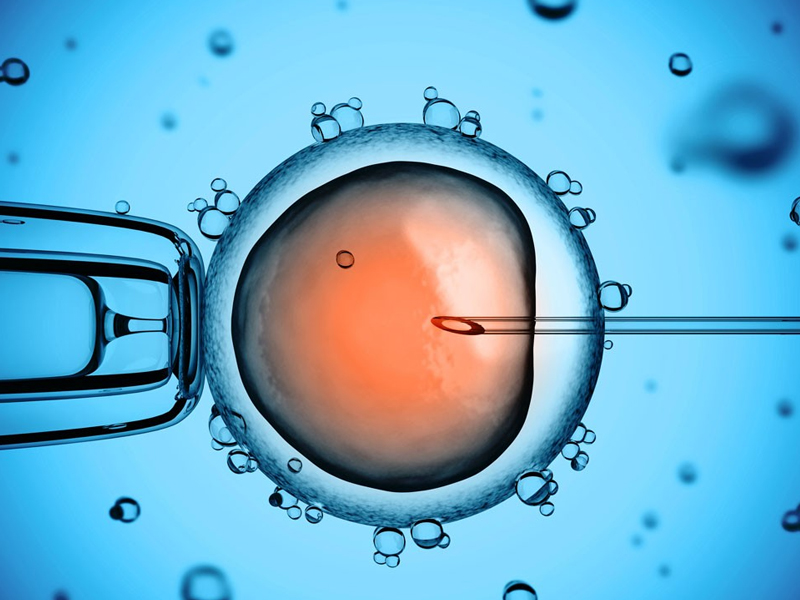 国家卫健委：将全力支持细胞治疗产品申报药物注册
