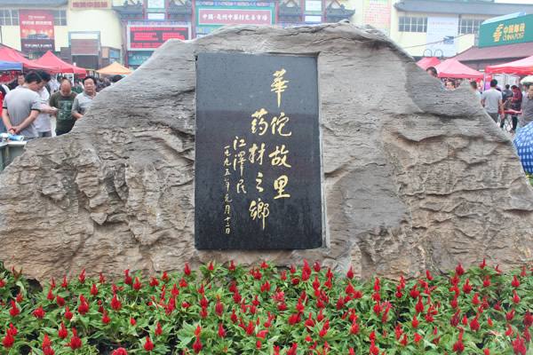 “药圃”长成记——“华佗故里”安徽亳州的医药经
