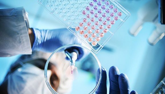 普华永道《2018年全球创新1000强》：罗氏研发支出最多